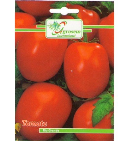 Tomate Rio Grande